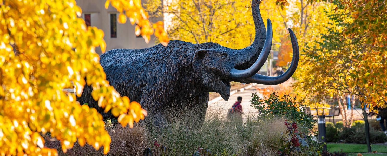 Mastodon in the fall